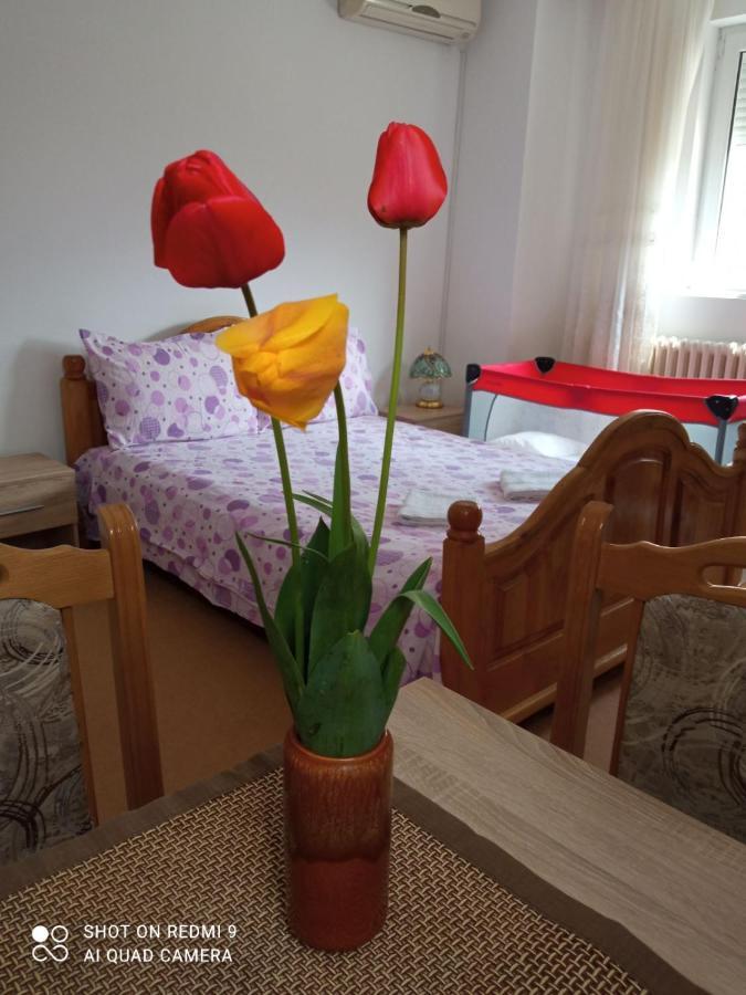 Apartman Andelina Vrnjačka Banja Eksteriør billede
