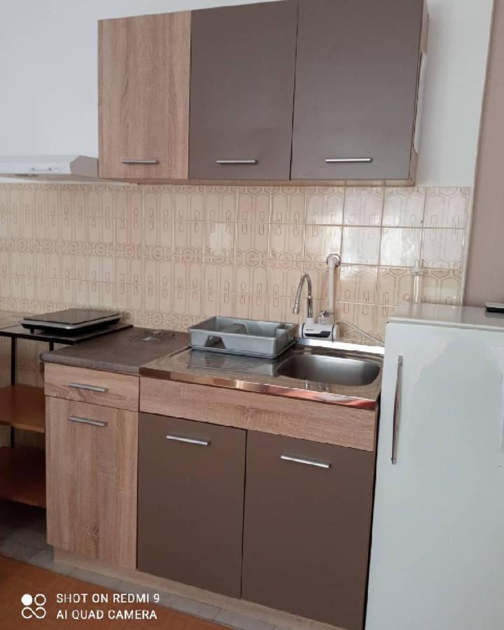 Apartman Andelina Vrnjačka Banja Eksteriør billede